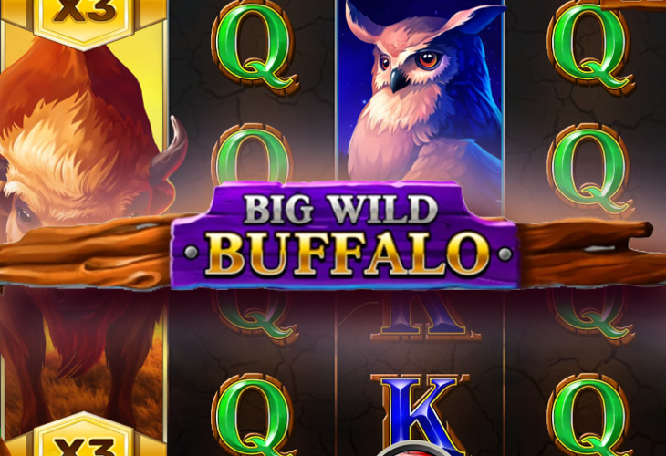 Big Wild Buffalo demo